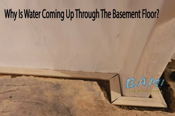 Basement Waterproofing