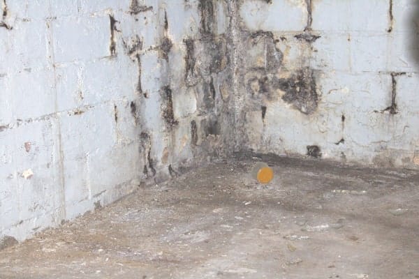 mold-mildew-basement-waterproofing