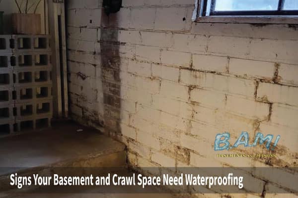 Signs-your-basement-and-crawl-space need to be waterproofed