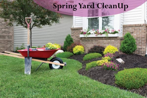 Spring yard Cleanup