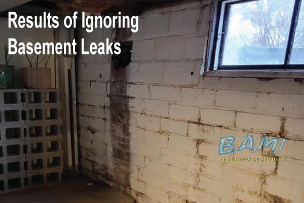 Waterproofing your Basement: Results of Ignoring Basement Leaks